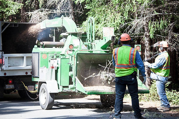 Mulching Services in Stanton, MI